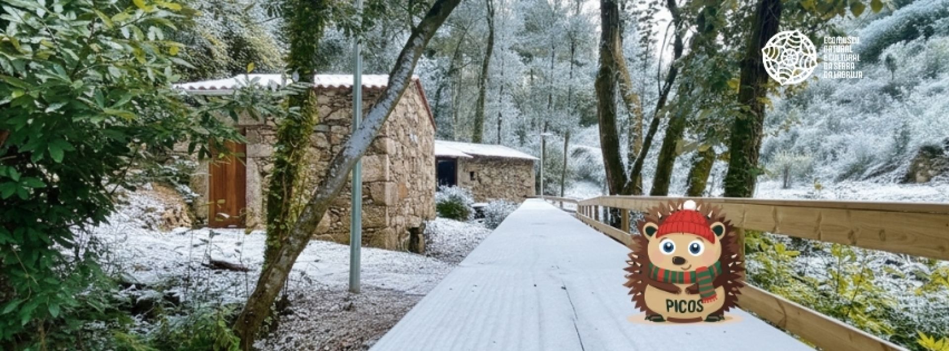 Moinhos da V&aacute;rzea